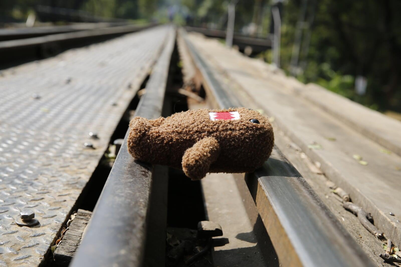 Life on the Tracks